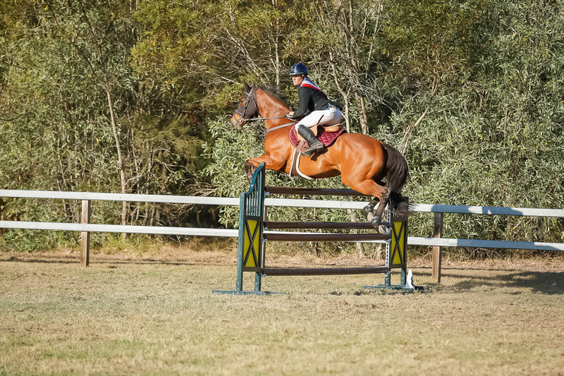 Day 3 SREC SJ Spectacular Grand Prix-0445.jpg