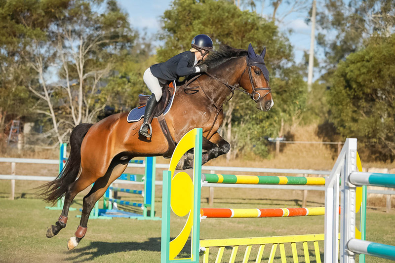 Day 3 SREC SJ Spectacular Grand Prix-0517.jpg