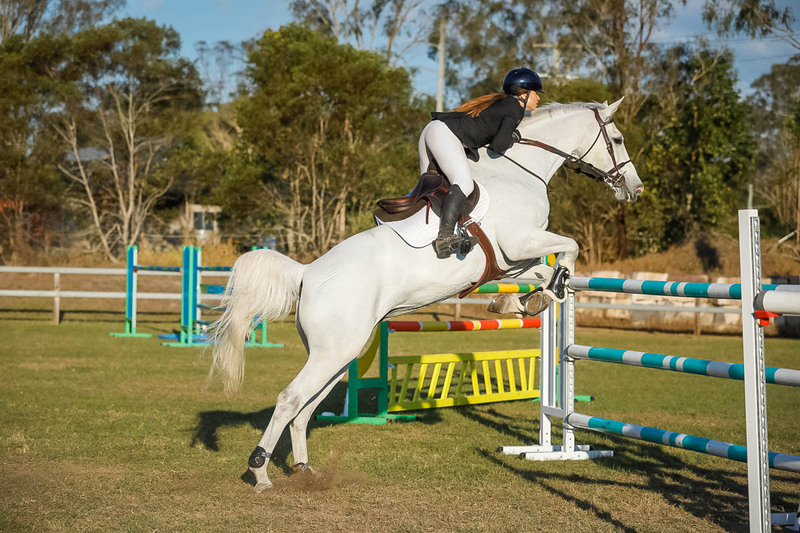 Day 3 SREC SJ Spectacular Grand Prix-0698.jpg