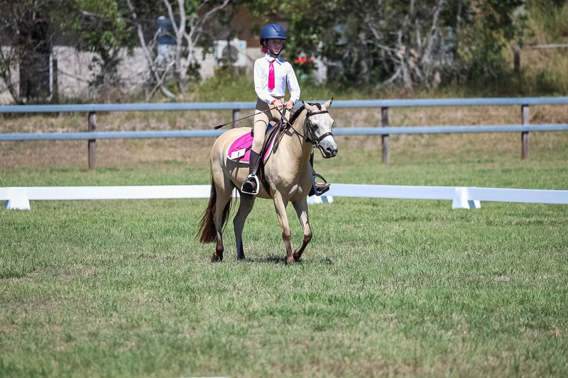 JPC Feb 2026 Dressage-6856.jpg