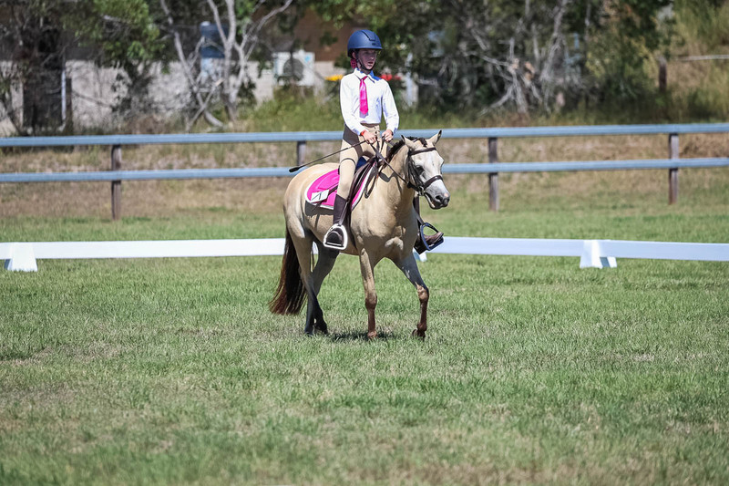 JPC Feb 2026 Dressage-6857.jpg
