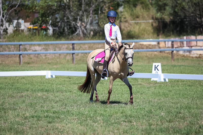 JPC Feb 2026 Dressage-6859.jpg
