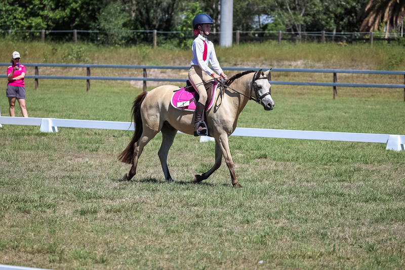 JPC Feb 2026 Dressage-6860.jpg