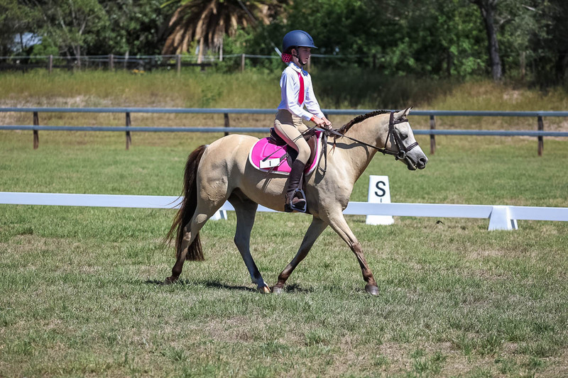 JPC Feb 2026 Dressage-6861.jpg