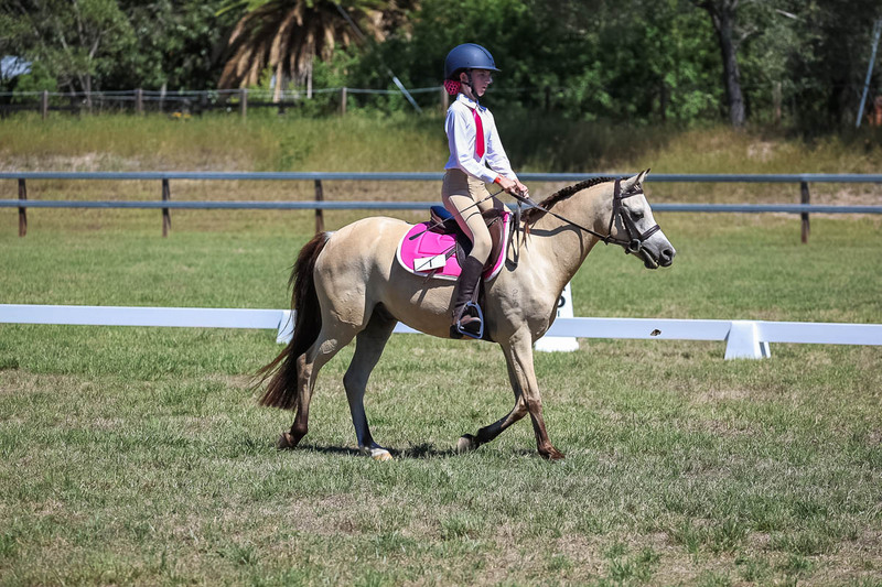 JPC Feb 2026 Dressage-6862.jpg