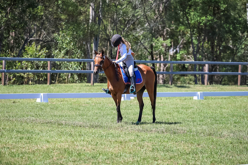 JPC Feb 2026 Dressage-6863.jpg