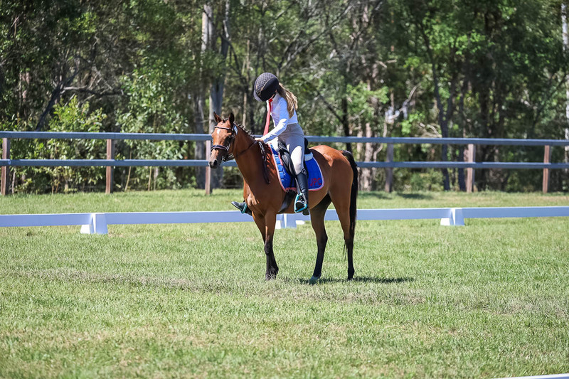 JPC Feb 2026 Dressage-6864.jpg