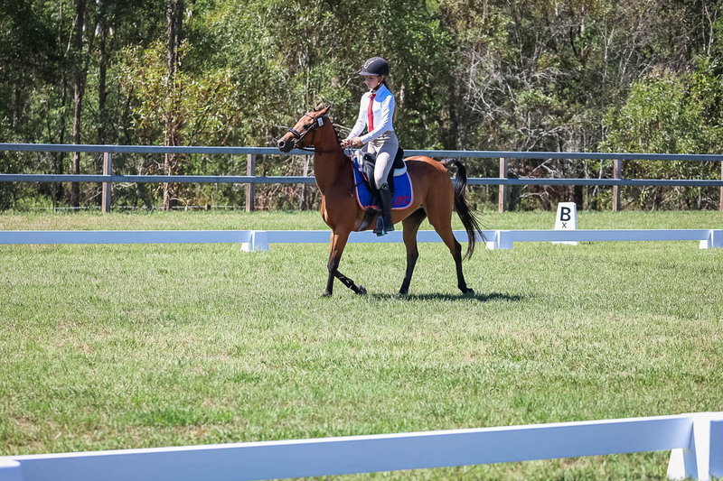 JPC Feb 2026 Dressage-6865.jpg