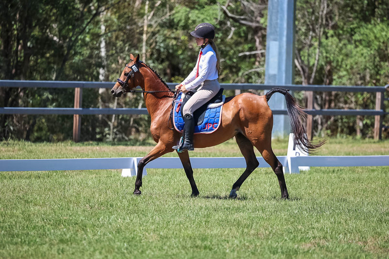 JPC Feb 2026 Dressage-6867.jpg