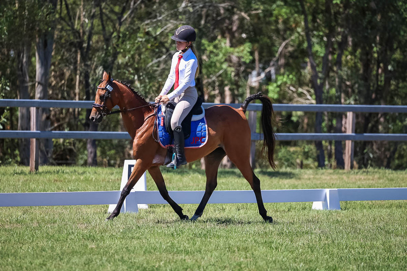JPC Feb 2026 Dressage-6870.jpg