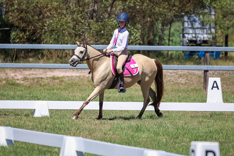 JPC Feb 2026 Dressage-6875.jpg