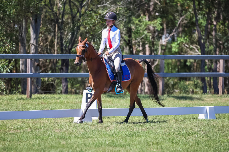 JPC Feb 2026 Dressage-6878.jpg
