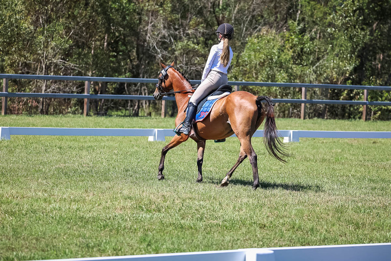 JPC Feb 2026 Dressage-6884.jpg