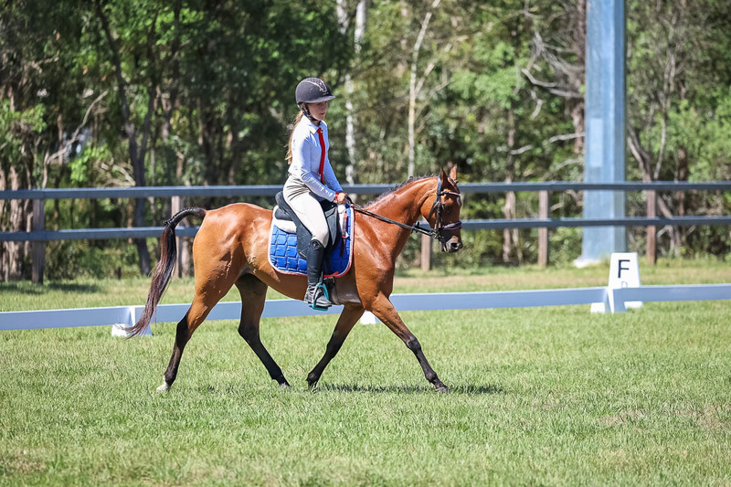 JPC Feb 2026 Dressage-6885.jpg