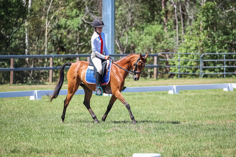 JPC Feb 2026 Dressage-6886.jpg