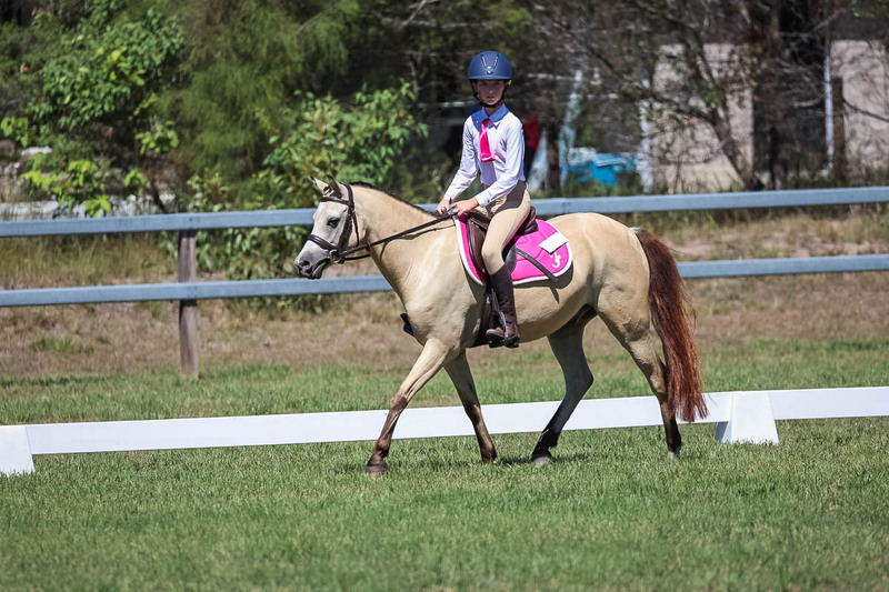 JPC Feb 2026 Dressage-6888.jpg