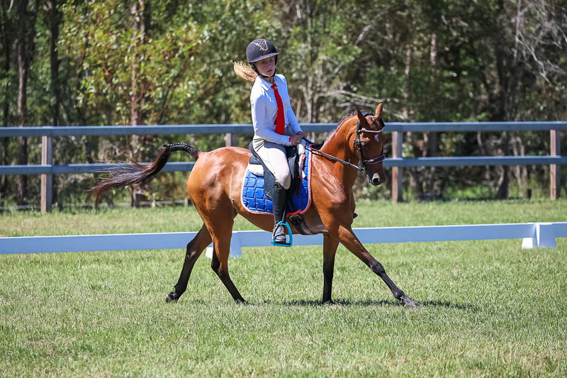 JPC Feb 2026 Dressage-6889.jpg