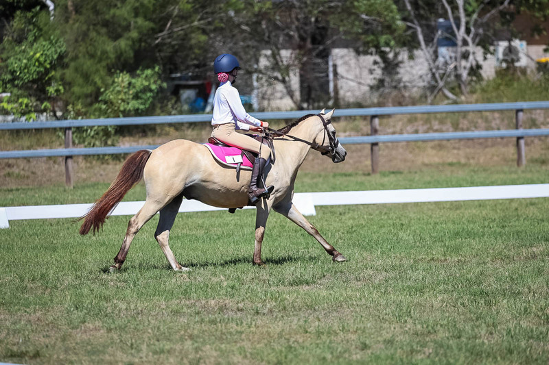 JPC Feb 2026 Dressage-6891.jpg