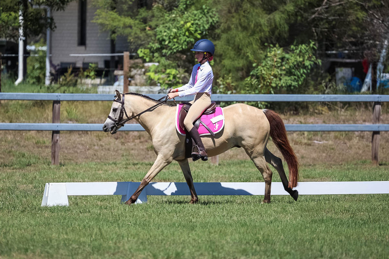 JPC Feb 2026 Dressage-6895.jpg