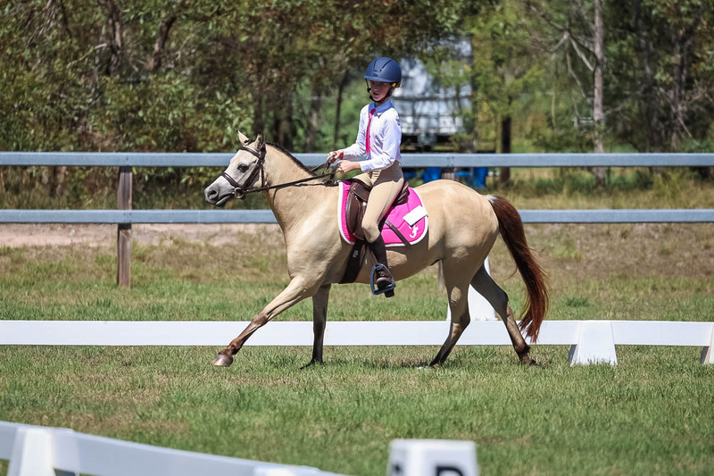 JPC Feb 2026 Dressage-6897.jpg