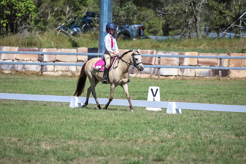 JPC Feb 2026 Dressage-6903.jpg