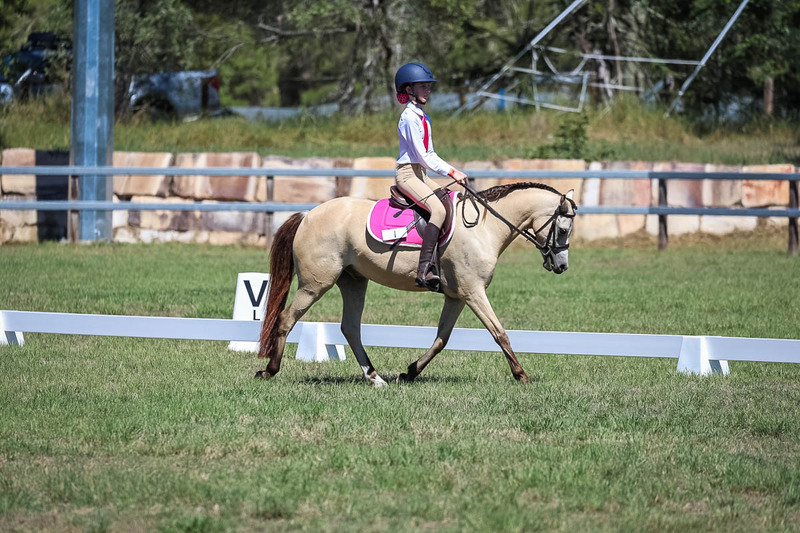 JPC Feb 2026 Dressage-6906.jpg