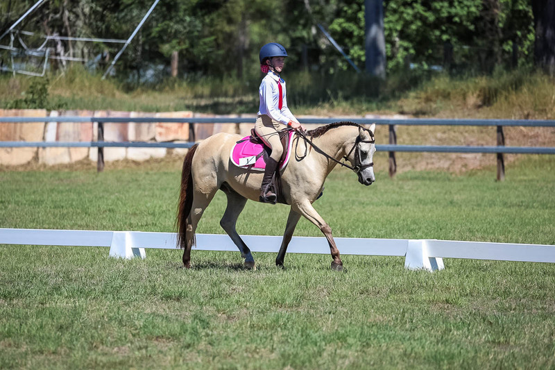 JPC Feb 2026 Dressage-6907.jpg