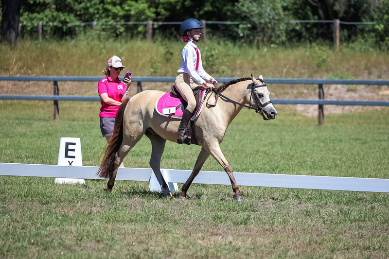 JPC Feb 2026 Dressage-6908.jpg