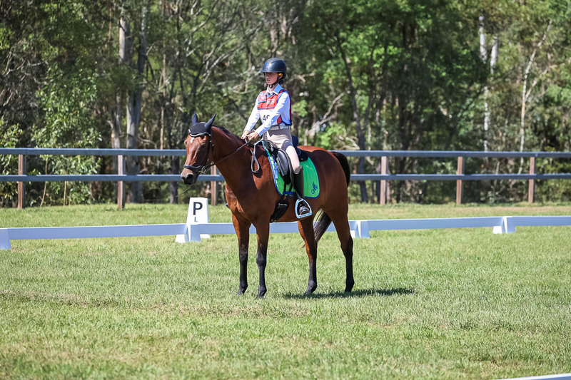 JPC Feb 2026 Dressage-6912.jpg