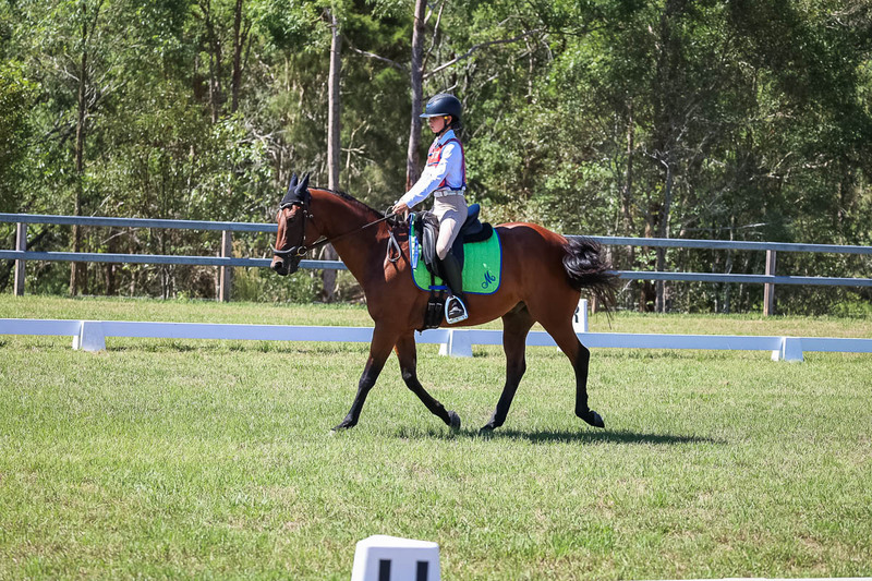 JPC Feb 2026 Dressage-6913.jpg