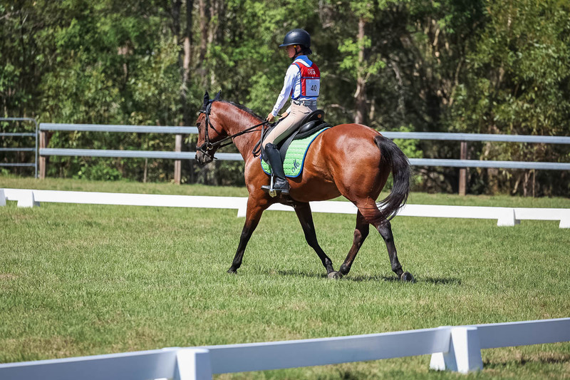 JPC Feb 2026 Dressage-6914.jpg