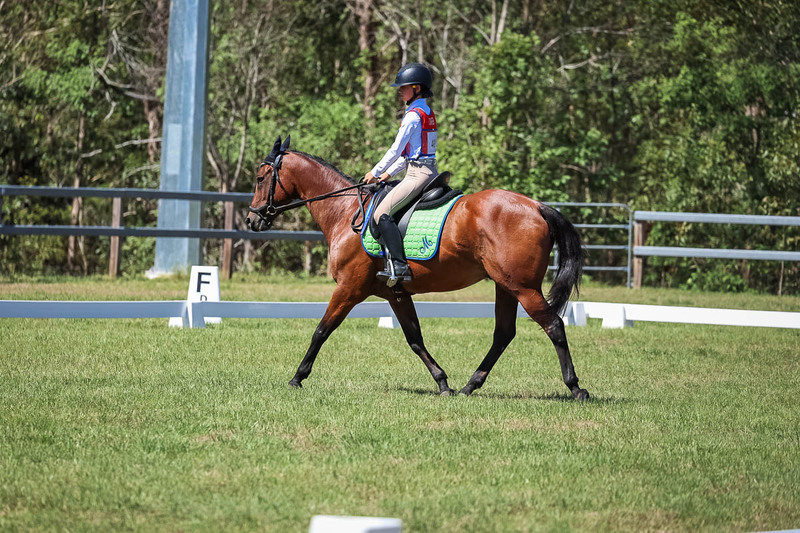 JPC Feb 2026 Dressage-6915.jpg