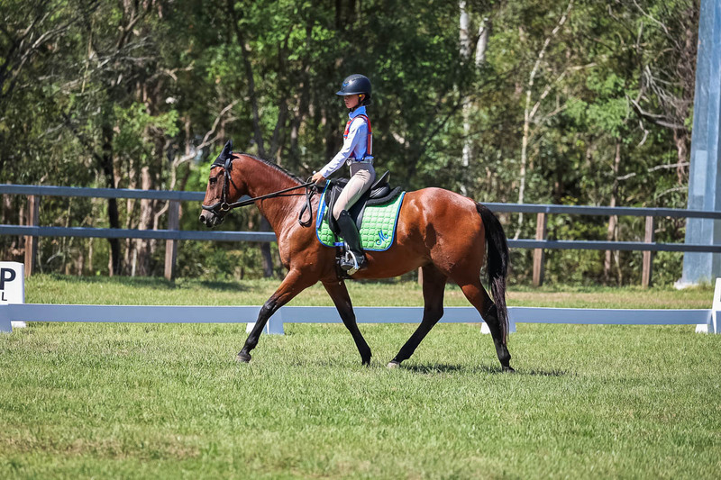 JPC Feb 2026 Dressage-6916.jpg