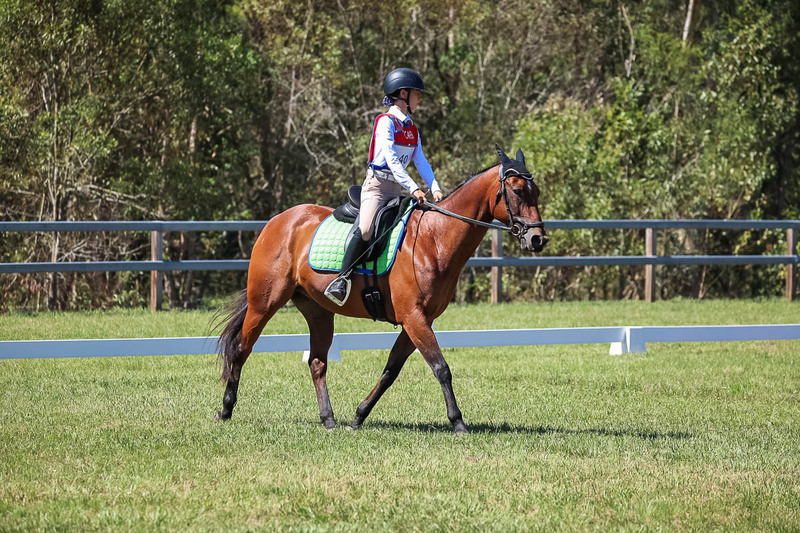JPC Feb 2026 Dressage-6917.jpg