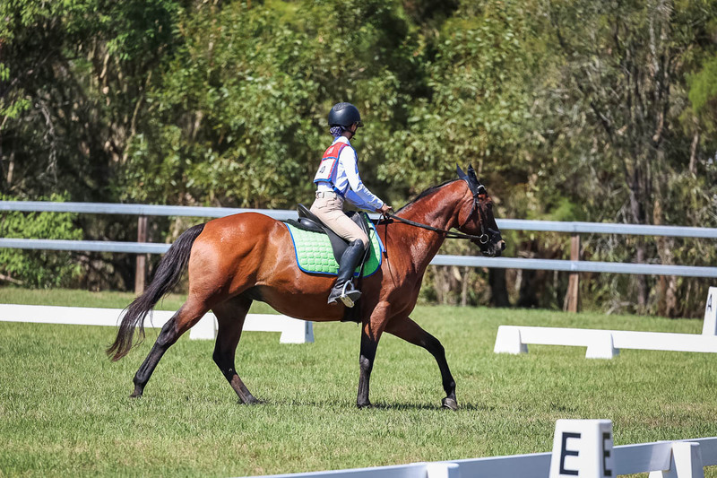 JPC Feb 2026 Dressage-6918.jpg