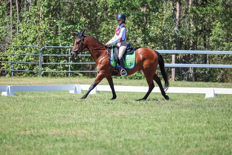 JPC Feb 2026 Dressage-6919.jpg