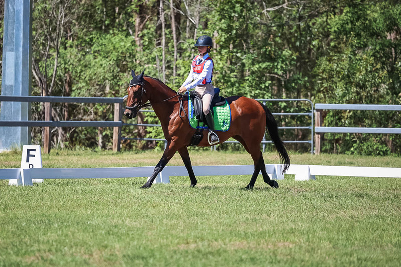 JPC Feb 2026 Dressage-6920.jpg