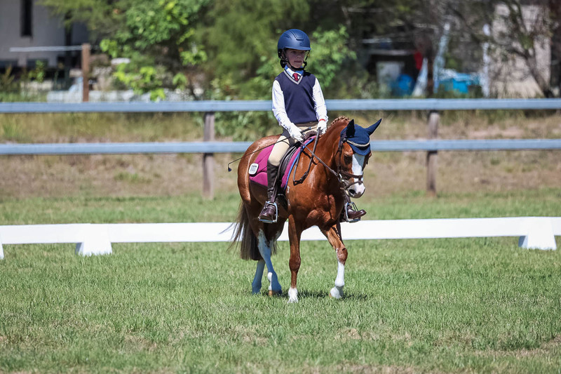 JPC Feb 2026 Dressage-6921.jpg