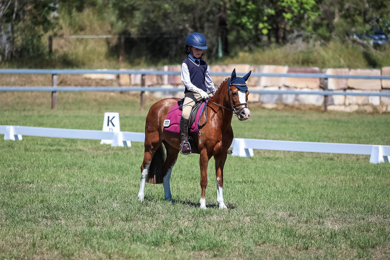 JPC Feb 2026 Dressage-6922.jpg