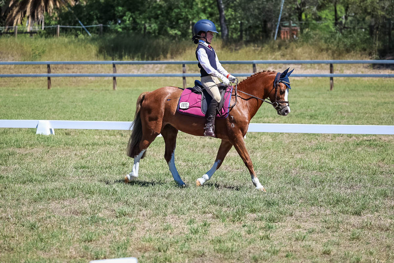 JPC Feb 2026 Dressage-6923.jpg