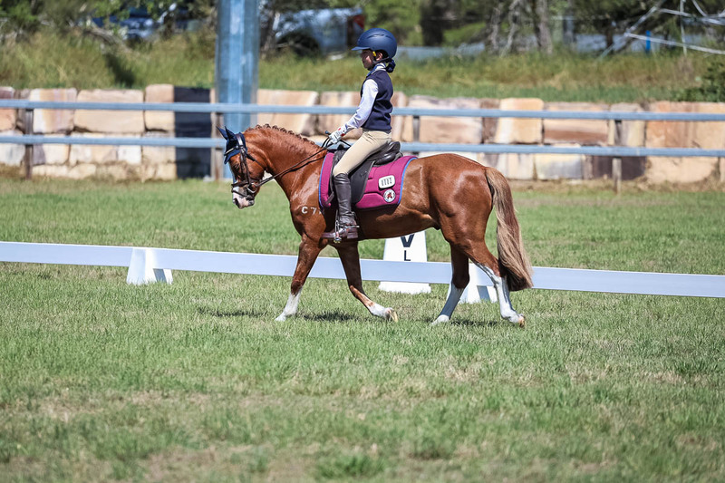JPC Feb 2026 Dressage-6927.jpg