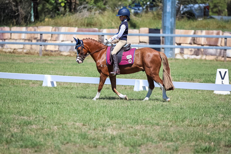 JPC Feb 2026 Dressage-6928.jpg