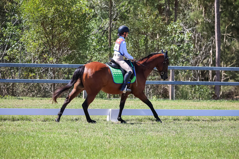 JPC Feb 2026 Dressage-6930.jpg