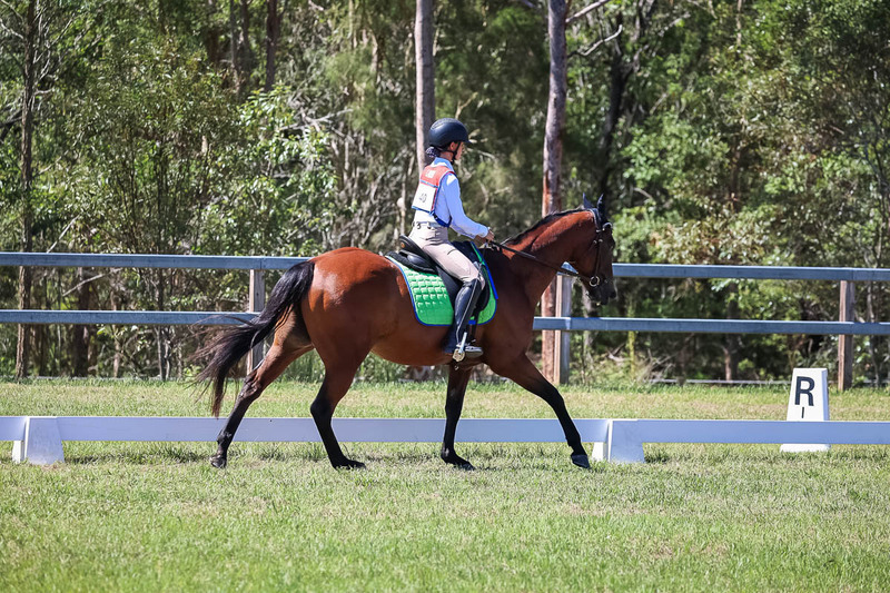 JPC Feb 2026 Dressage-6931.jpg