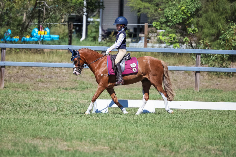 JPC Feb 2026 Dressage-6933.jpg