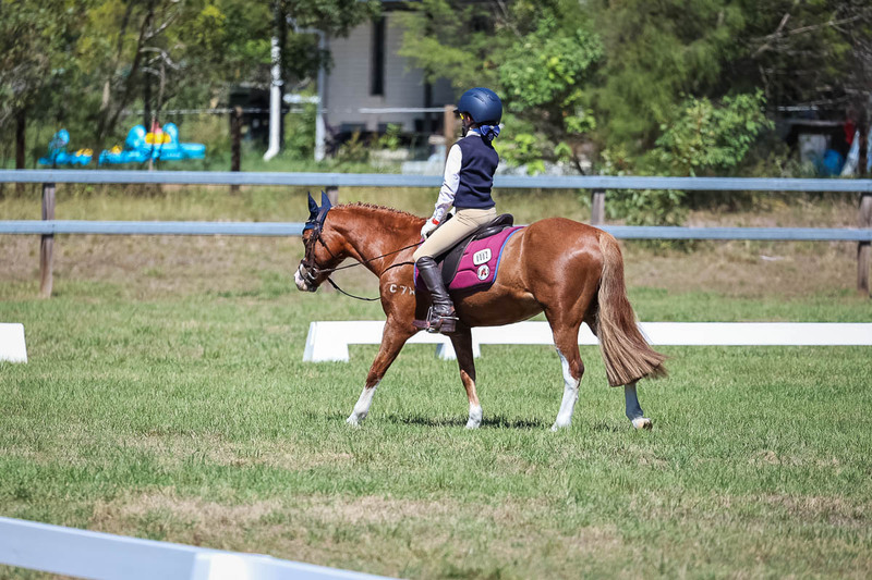 JPC Feb 2026 Dressage-6936.jpg