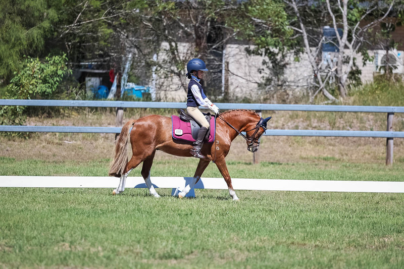 JPC Feb 2026 Dressage-6938.jpg