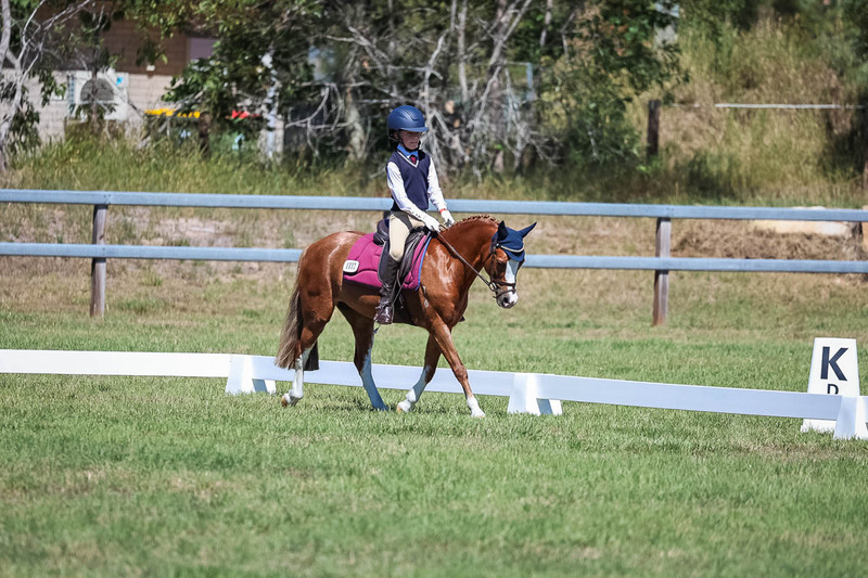 JPC Feb 2026 Dressage-6939.jpg
