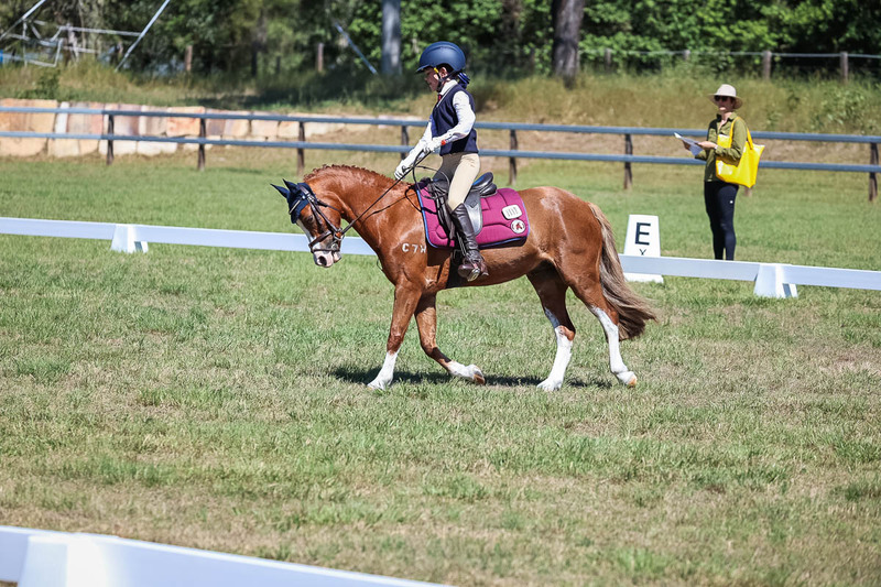 JPC Feb 2026 Dressage-6940.jpg