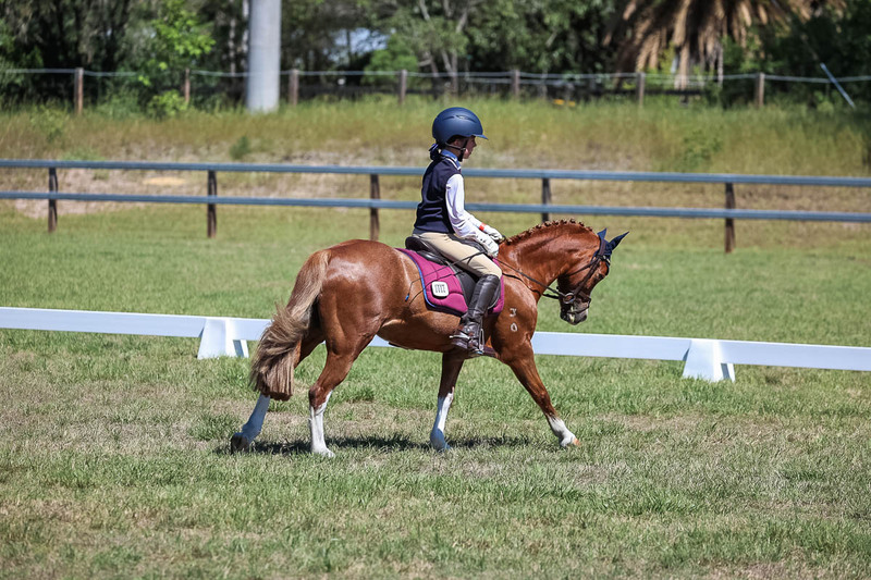 JPC Feb 2026 Dressage-6943.jpg